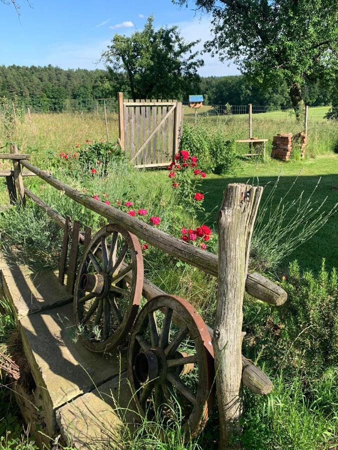 Kellerstoeckl-Am-Veganen-Bio-Lebenshof-Nur-Fuer-Hundefreunde-Empfohlen Villa Sulb Exteriör bild