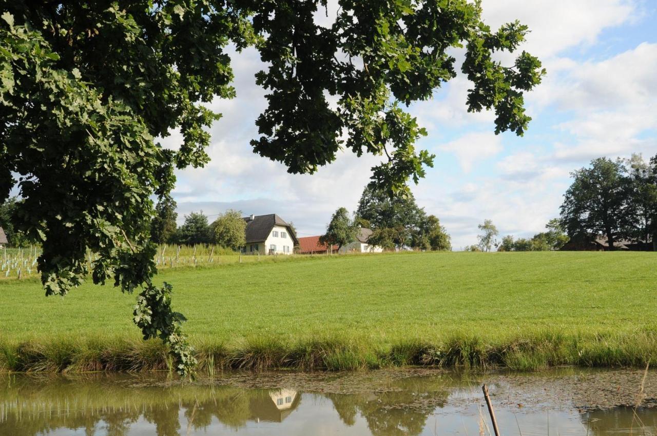 Kellerstoeckl-Am-Veganen-Bio-Lebenshof-Nur-Fuer-Hundefreunde-Empfohlen Villa Sulb Exteriör bild