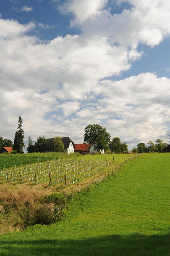 Kellerstoeckl-Am-Veganen-Bio-Lebenshof-Nur-Fuer-Hundefreunde-Empfohlen Villa Sulb Exteriör bild