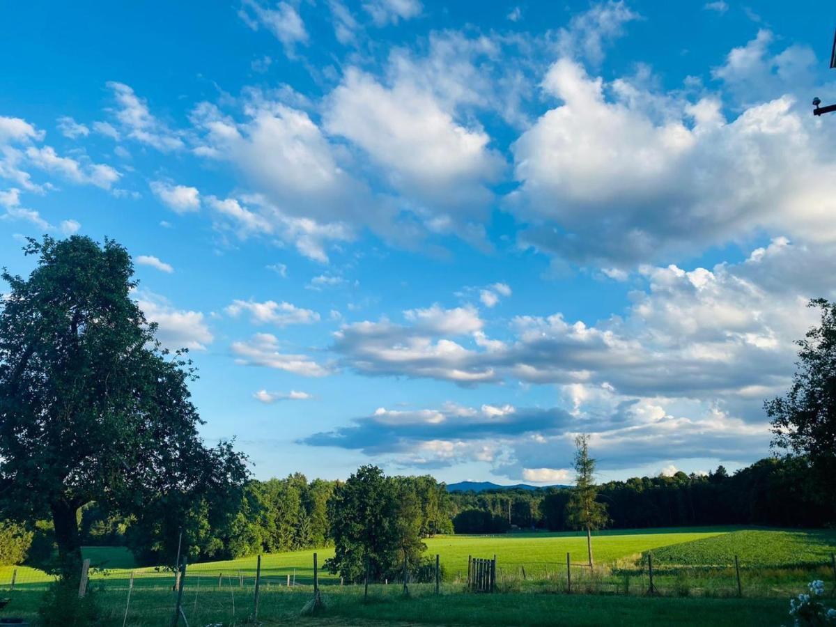 Kellerstoeckl-Am-Veganen-Bio-Lebenshof-Nur-Fuer-Hundefreunde-Empfohlen Villa Sulb Exteriör bild