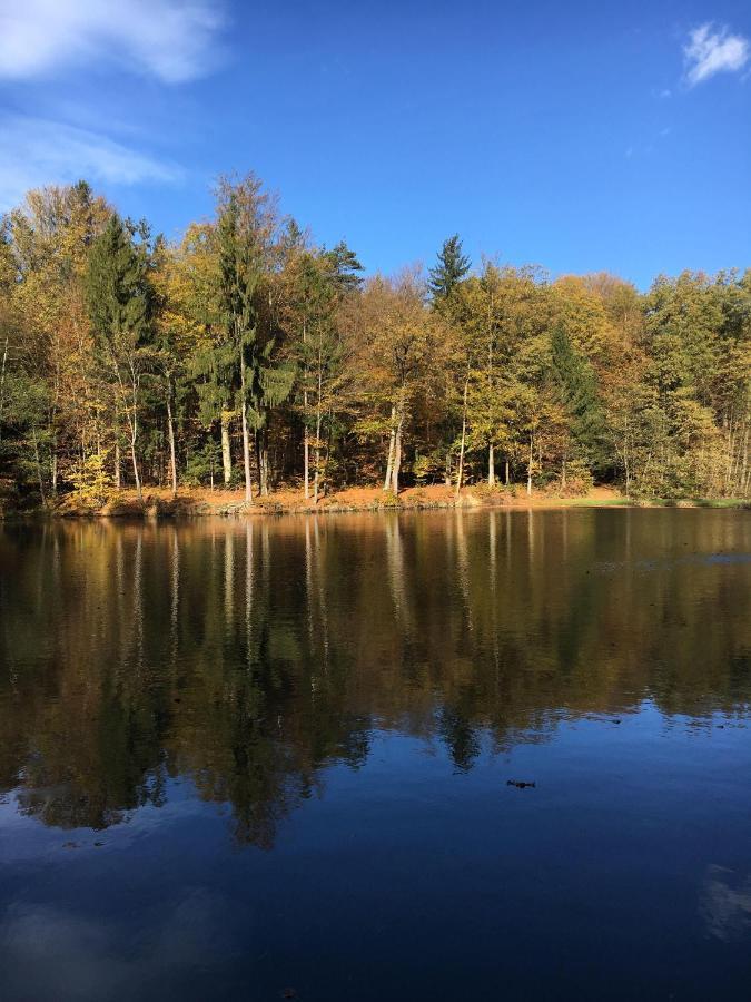 Kellerstoeckl-Am-Veganen-Bio-Lebenshof-Nur-Fuer-Hundefreunde-Empfohlen Villa Sulb Exteriör bild