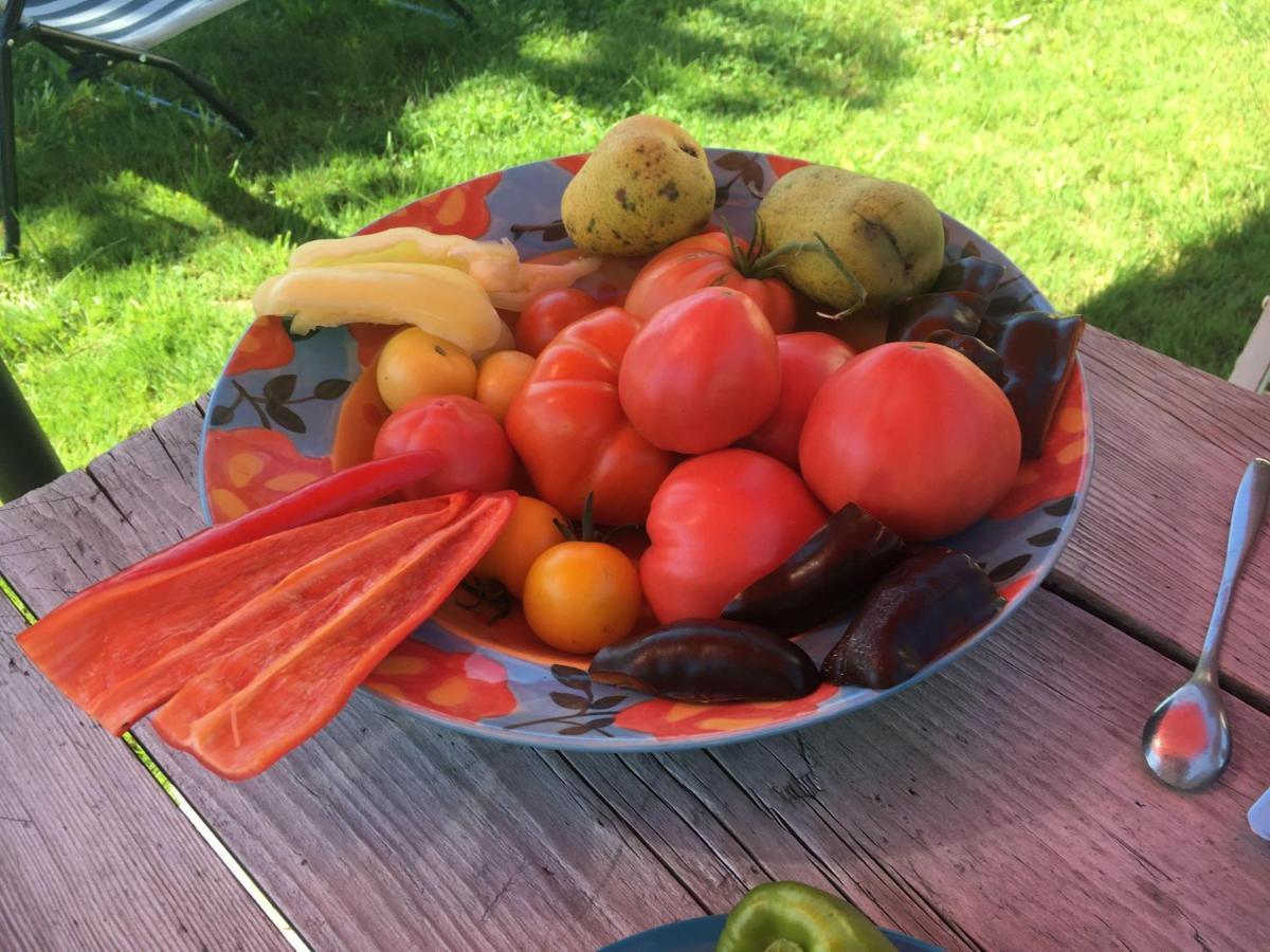 Kellerstoeckl-Am-Veganen-Bio-Lebenshof-Nur-Fuer-Hundefreunde-Empfohlen Villa Sulb Exteriör bild