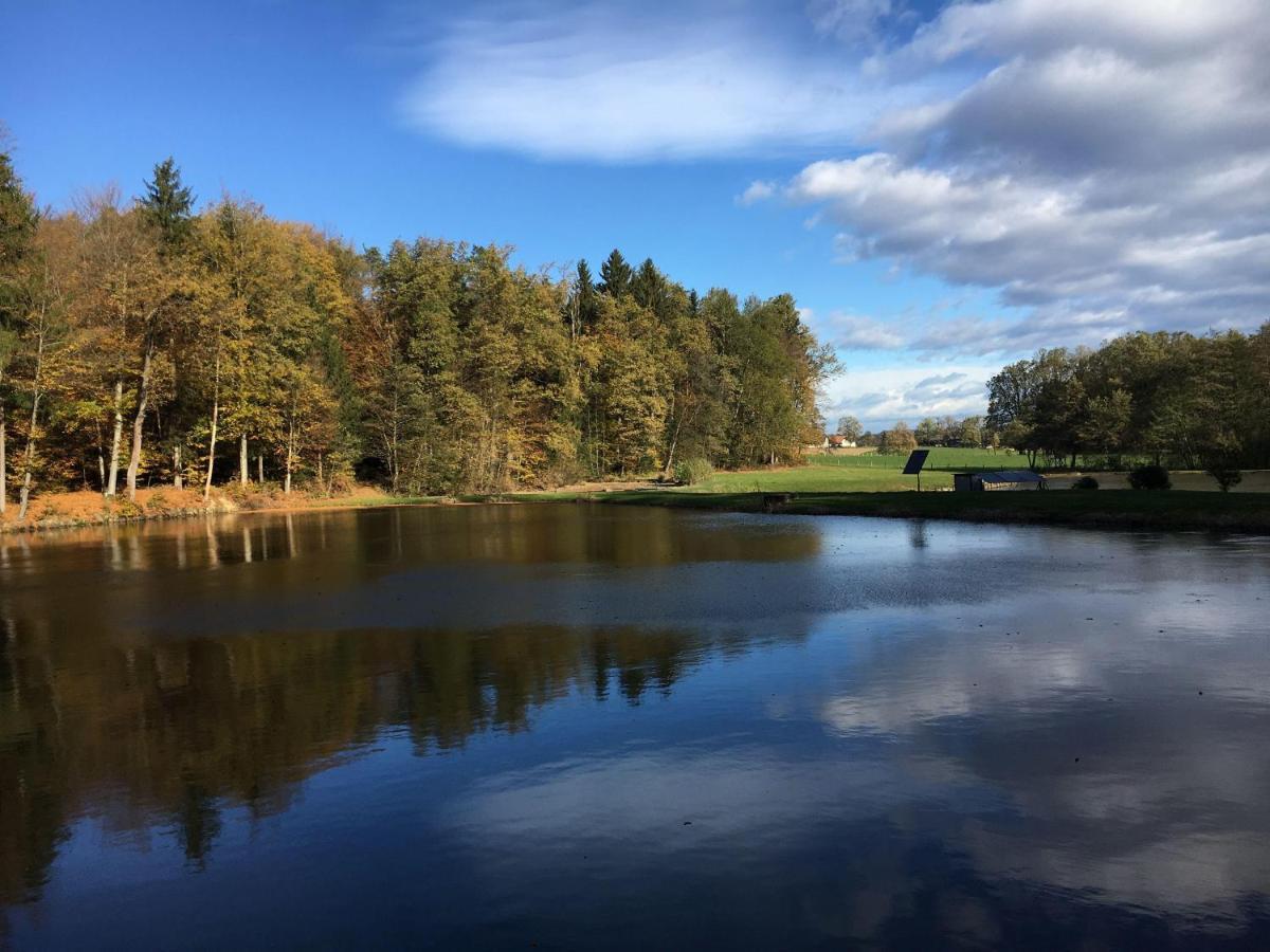 Kellerstoeckl-Am-Veganen-Bio-Lebenshof-Nur-Fuer-Hundefreunde-Empfohlen Villa Sulb Exteriör bild